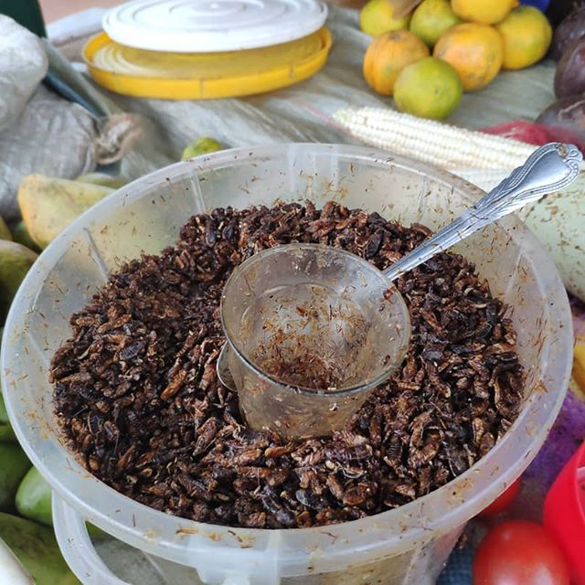 Карательная кулинария