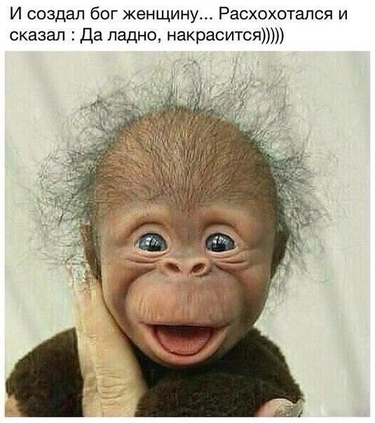 Юмор в картинках и без