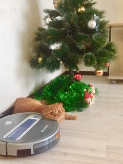 Новогодняя игрушка