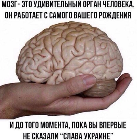 Победная поступь идиотизма по планете – том 11