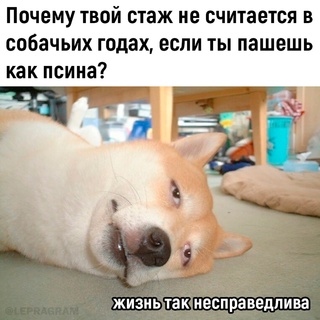 Картинки и мемы для настроения - 137