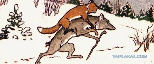 Упоротый лис приедет в Санкт-Петербург