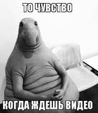 Директор школы уволил учительницу Юлию за слишком большой бюст