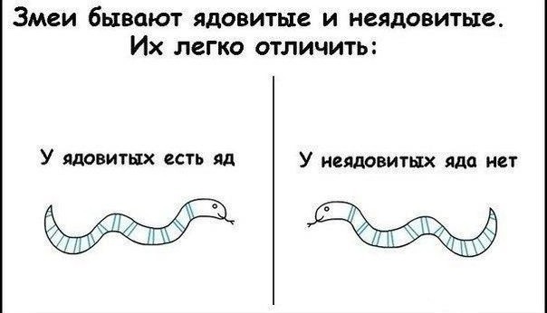 Нуштош 01.07.2023