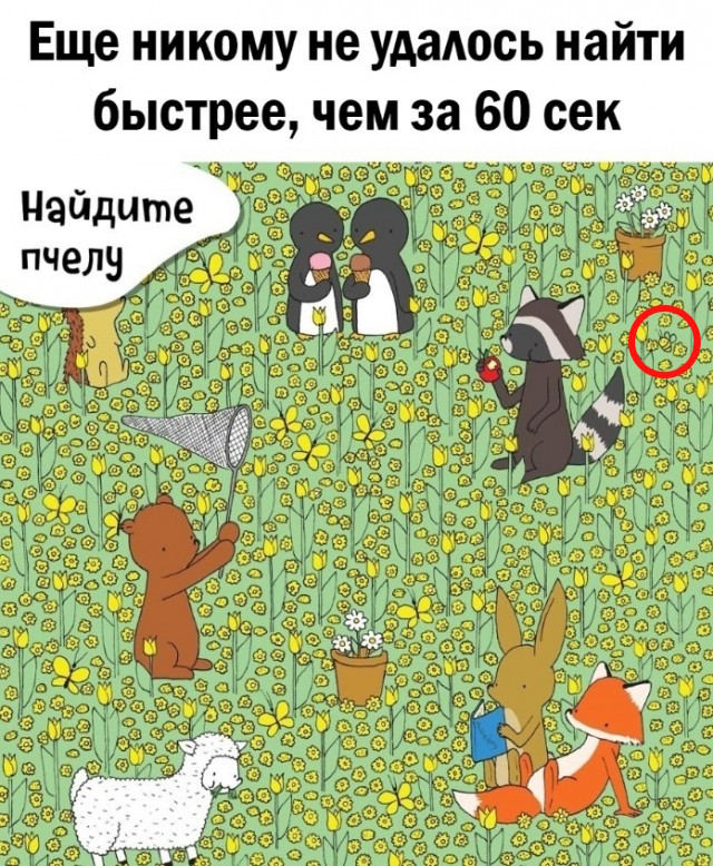 Так себе картинки 28.10.23