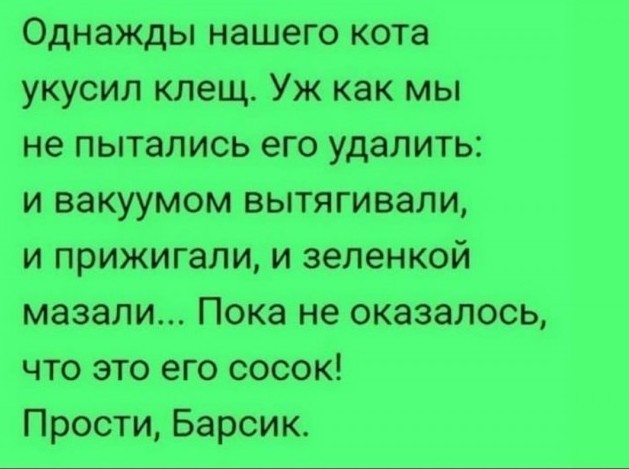 Бояны 10-ти летней выдержки