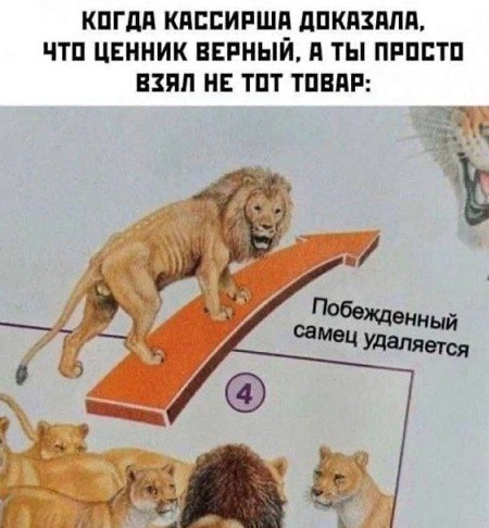 Новый президент Аргентины
