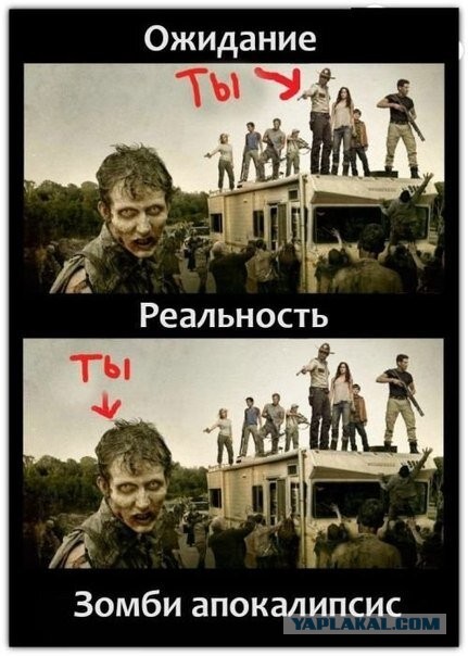 Мои мечты
