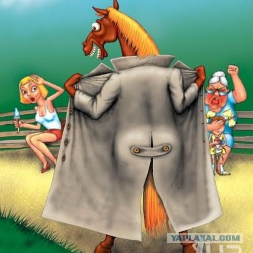 Как невовремя завис браузер