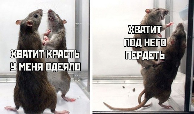 Всего понемногу. От 20.10