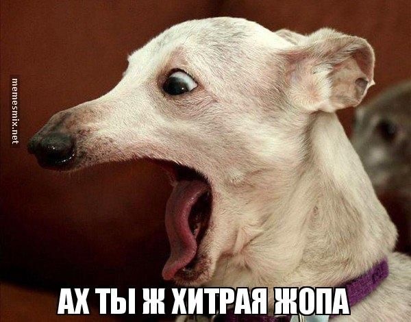 Обманка