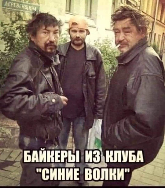 Весёлый полтишок 06.11.24
