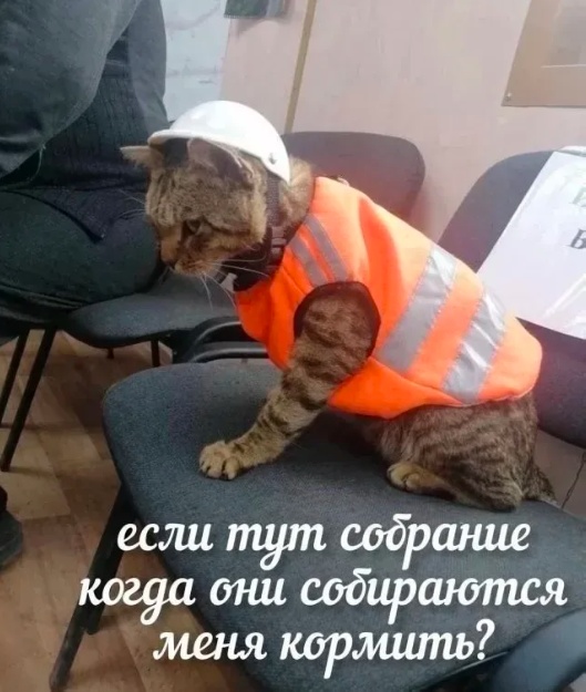 Так себе картинки 11.11.24