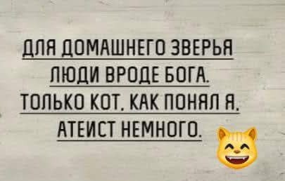 Так себе картинки 26.06.25