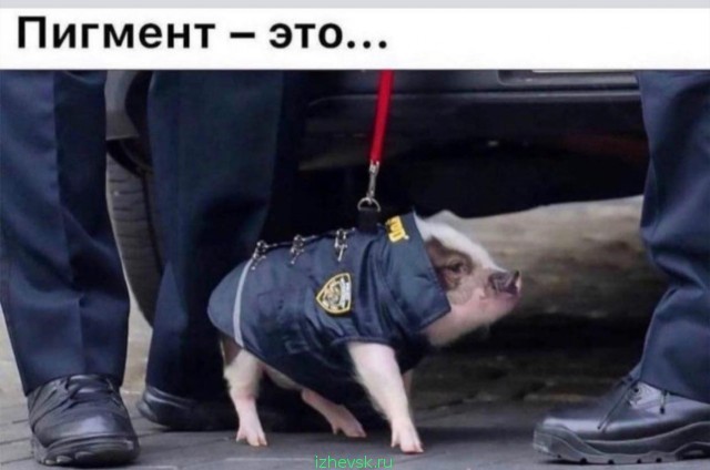 Игра слов — это словесный вираж в смешных каламбурах