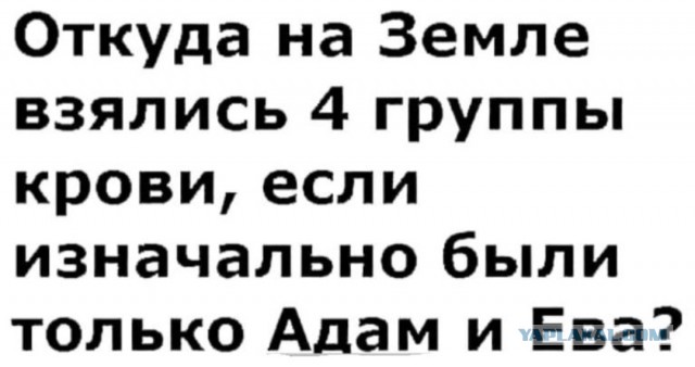 Так себе картинки 04.10.25