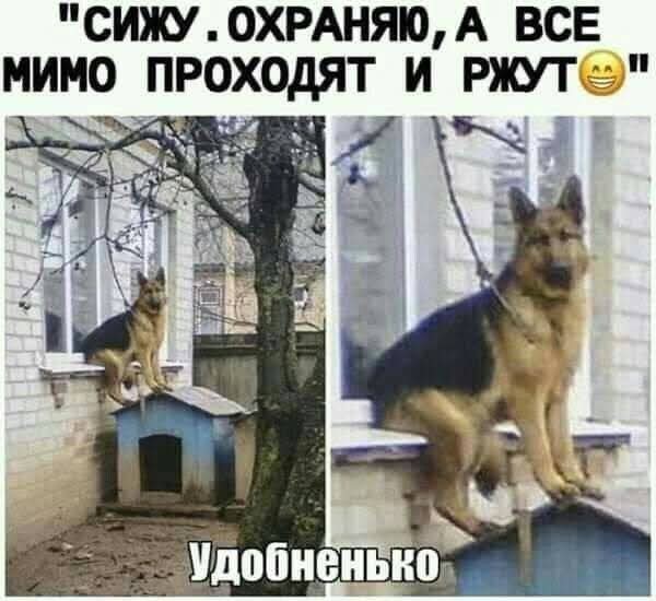 Картинки 15 октября