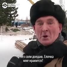 Владелец загородной дачи в Великобритании побил мировой рекорд по установке самой высокой рождественской елки