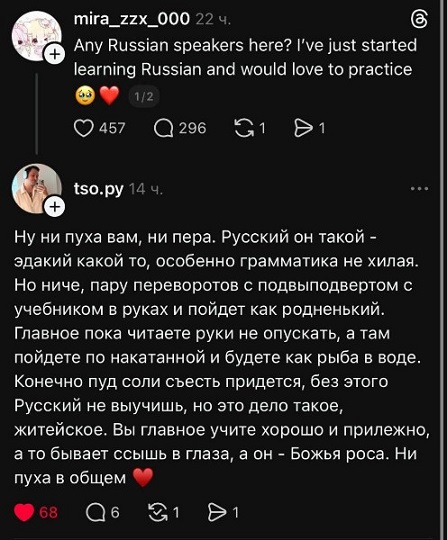 Мой кот