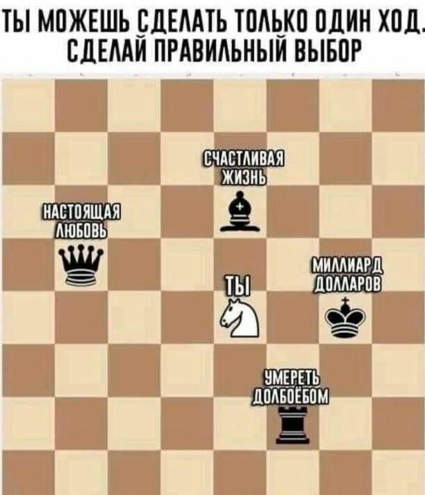 Нуштош 27.01.2026. Шахматный спецвыпуск