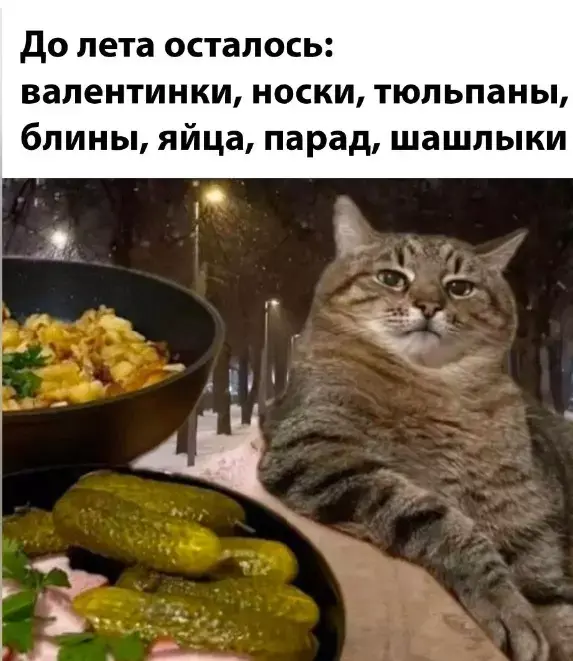 Мемчики и картинки для настроения