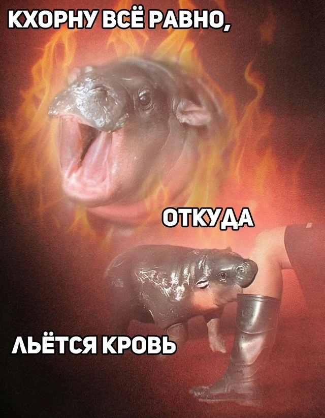 Слабонервным не смотреть!