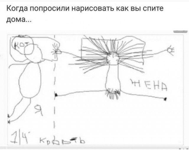 Мужской и женский дом
