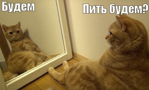 В ГУМе открылось семейное кафе «Простоквашино» в год 90-летнего юбилея «Союзмультфильма»