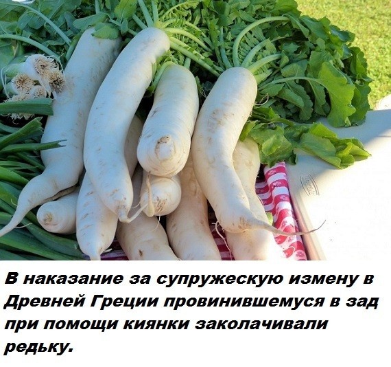 Так себе картинки 17.06.26