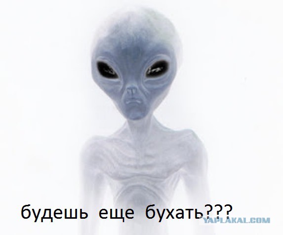 Посленовогоднее, 1 пикча.