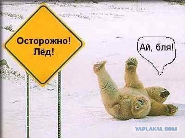 Коварный лед