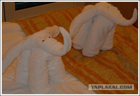 Как горничные в Гоа заправляют кровати
