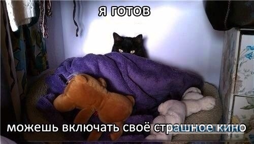 Картинки