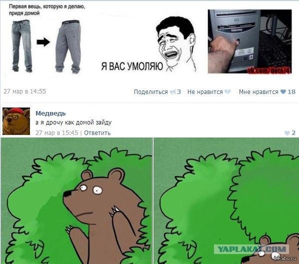 Медведи почти на все случаи жизни