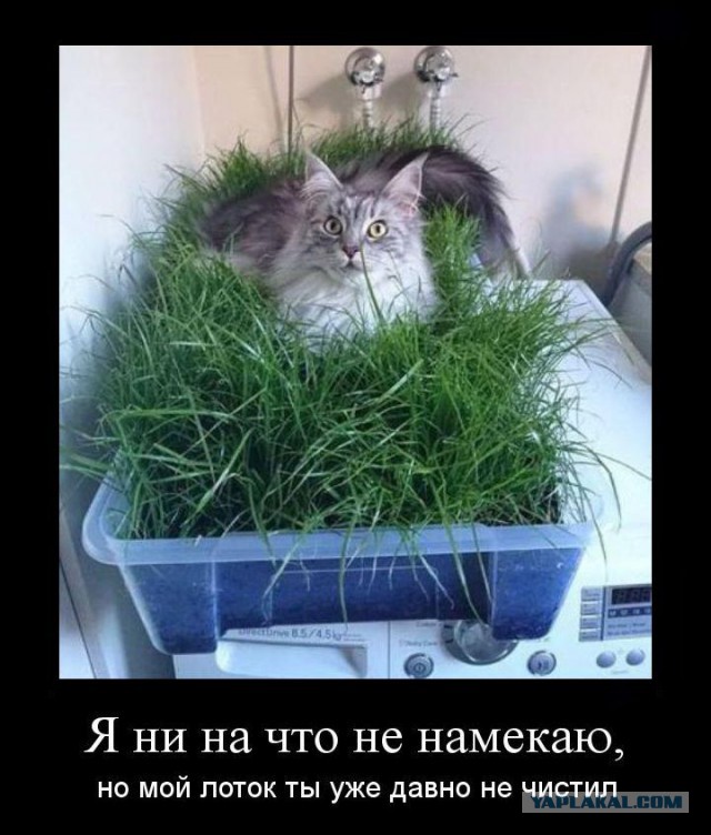 Кому юки отсыпать?