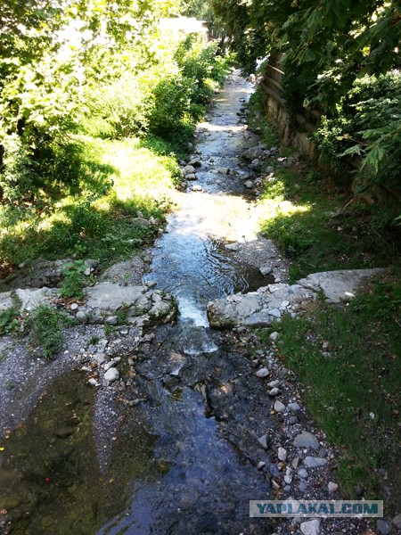 Дорога из Киева и из Москвы в Ялту.