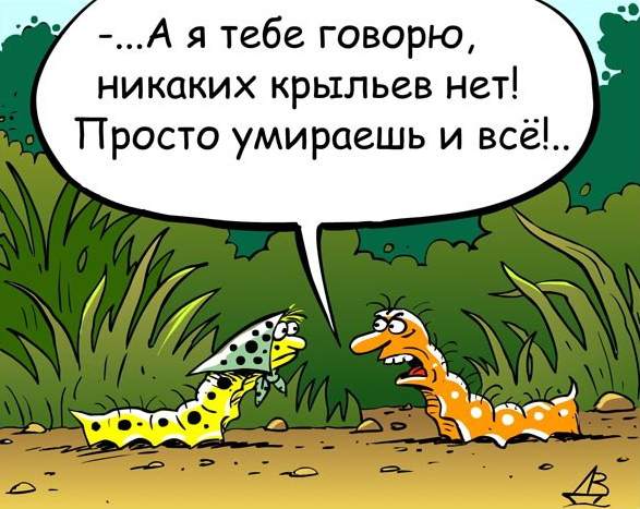Жизнь после смерти существует?