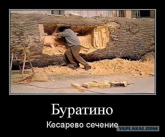 Веселые картинки