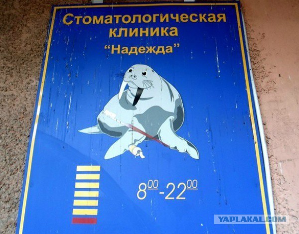 Маразмы месяца