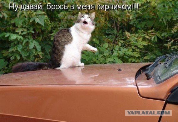 Немного юмора