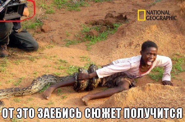 Благородный пес Артемон