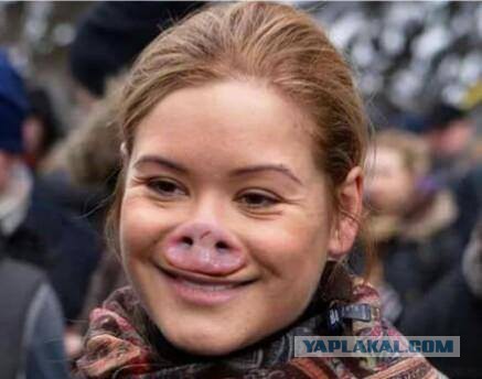 Кокосовый краб, пальмовый вор или...
