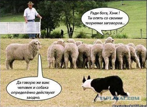 Плюшкиным посвящается