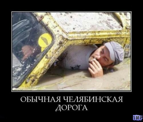 Картинки  из сети
