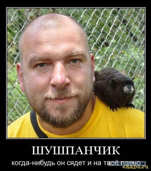 Мадагаскарская руконожка.