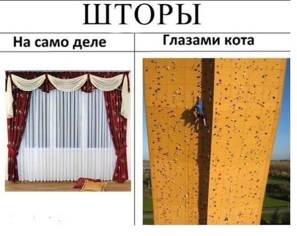 Фотоподборка на пятницу.