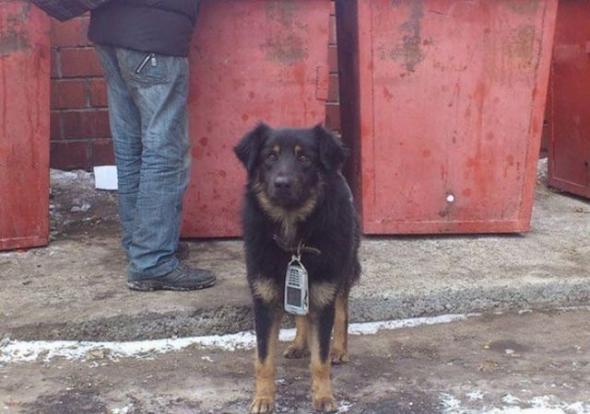 Подборка интересных и веселых картинок