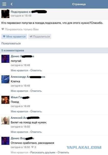 Комментарии, подписи, текстовые приколы