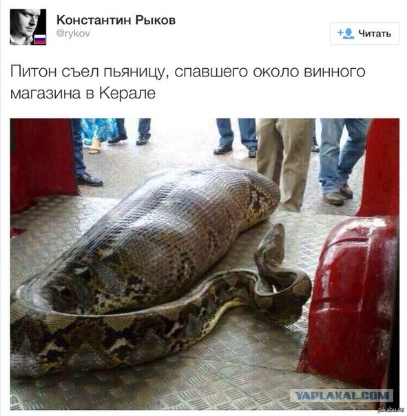 От чего похмелье больше…