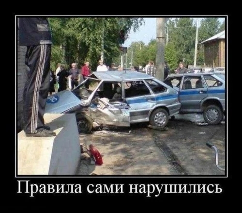 Немного картинок и гифок для пятничного настроения.